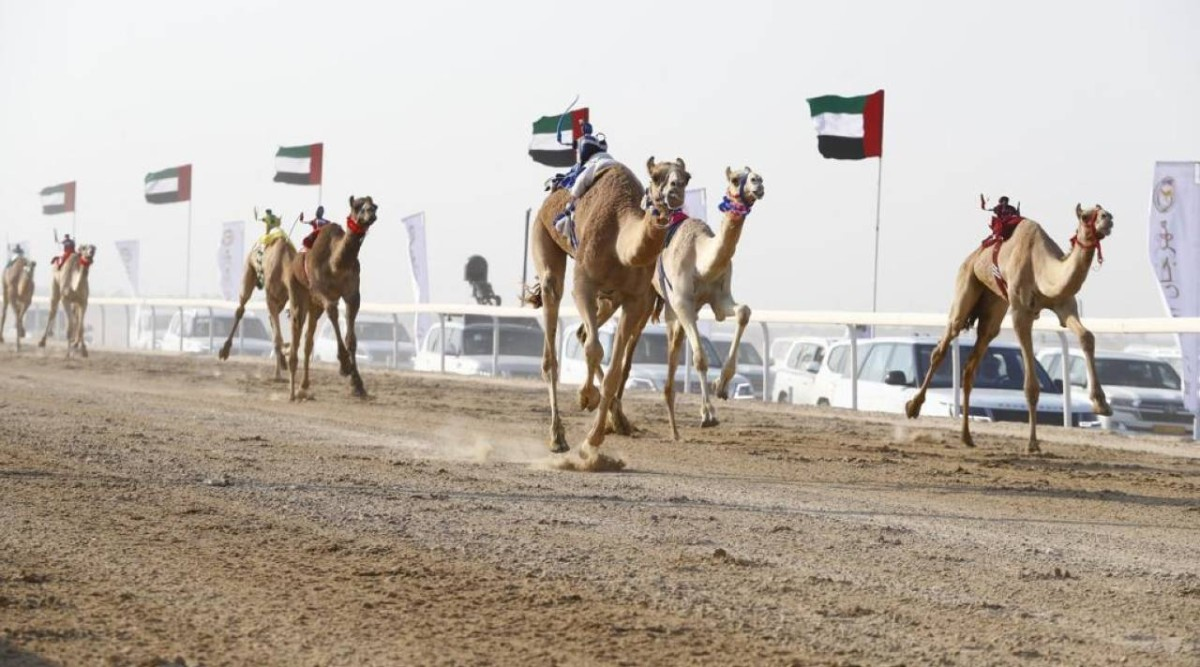 نخبة المطايا تشارك في الحدث