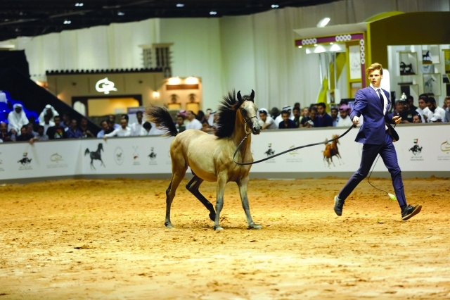 "■ من عروض الجمال خلال البطولة  |  البيان"