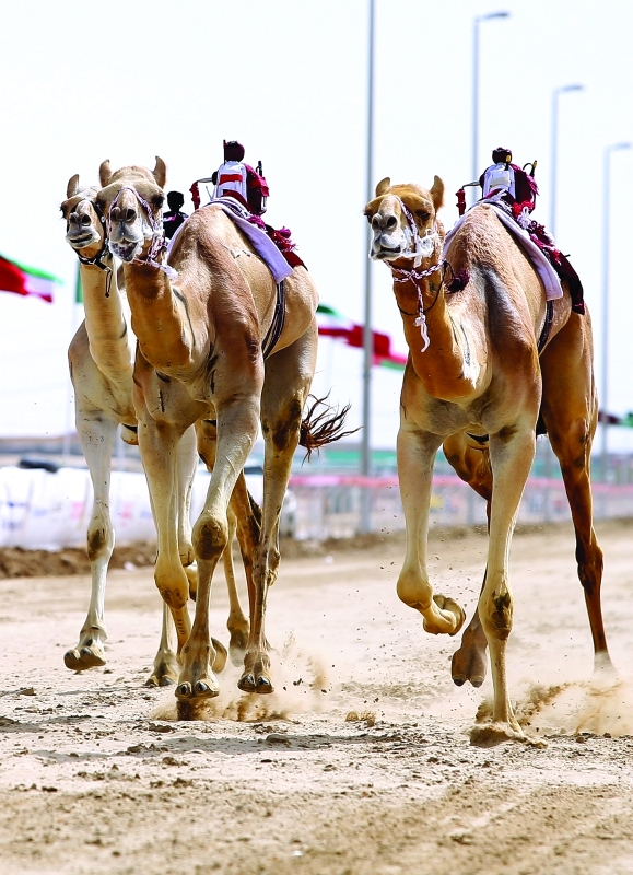 "■ منافسات قوية في ختام الإيذاع  |  البيان"