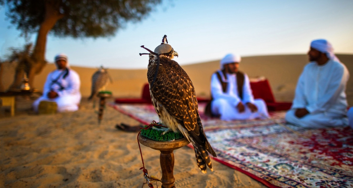 "المحمية توفر لزوارها الاستمتاع بالمناظر الطبيعية | من المصدر"