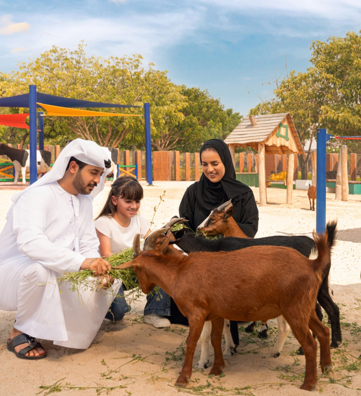 "«دبي سفاري بارك» مغامرة استكشافية لعالم الحياة البرية"