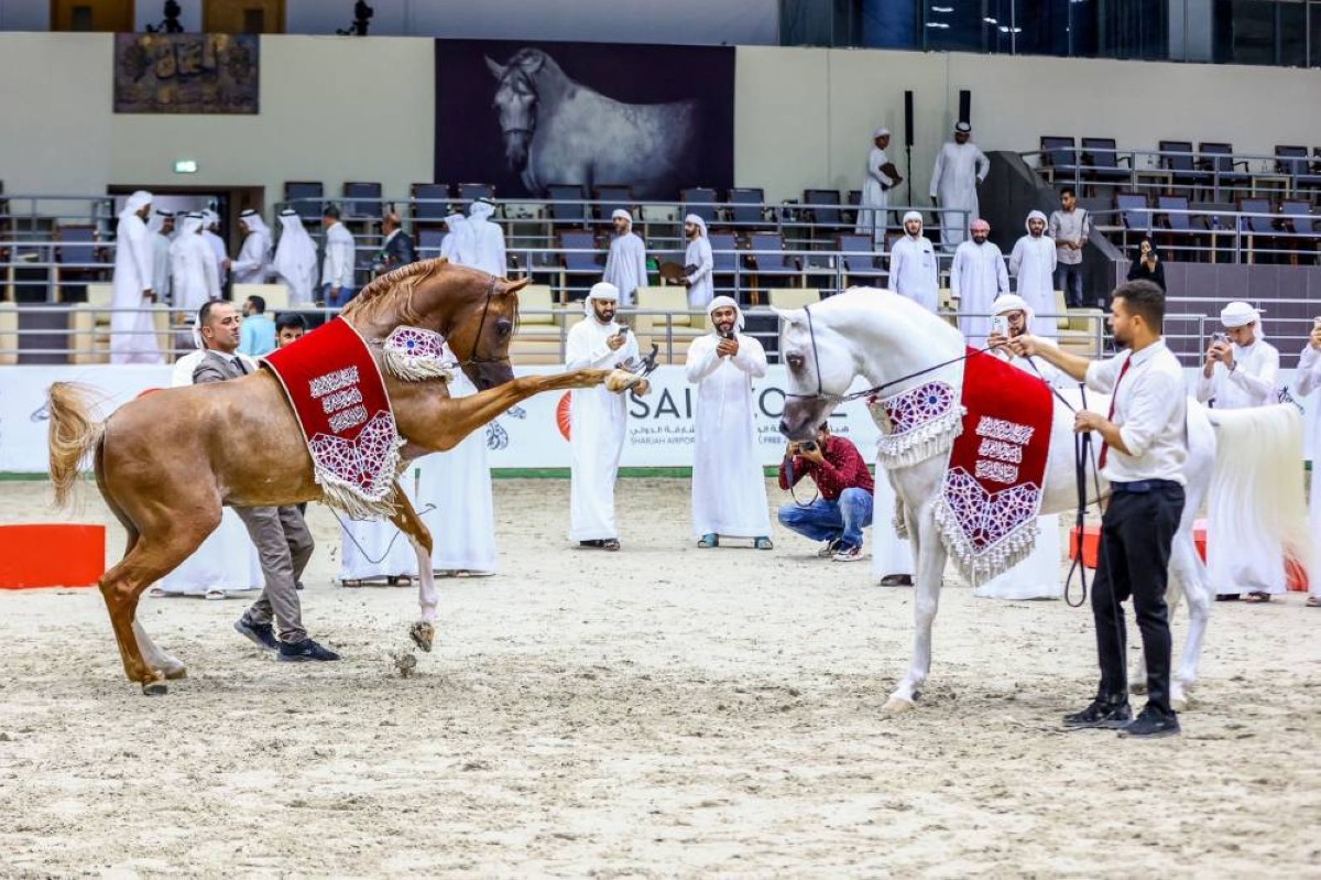 جانب من منافسات سابقة | أرشيفية