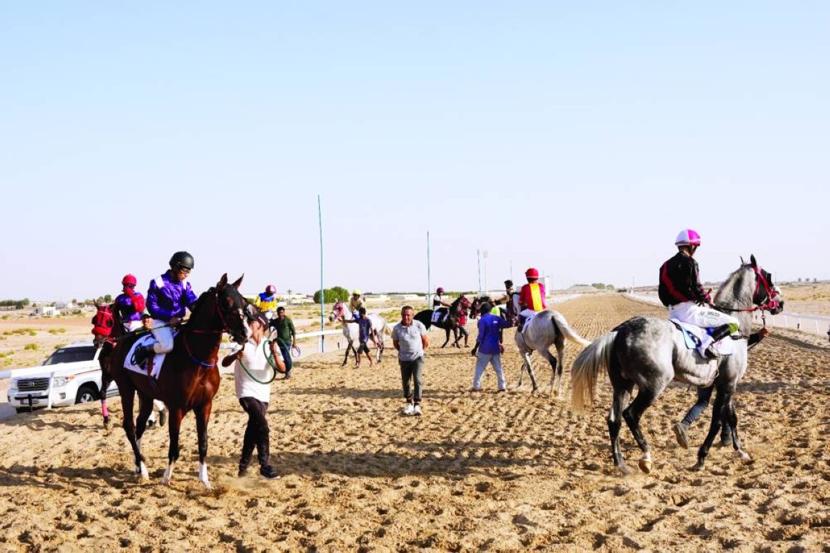 جانب من منافسات سباق الخيول في الظفرة