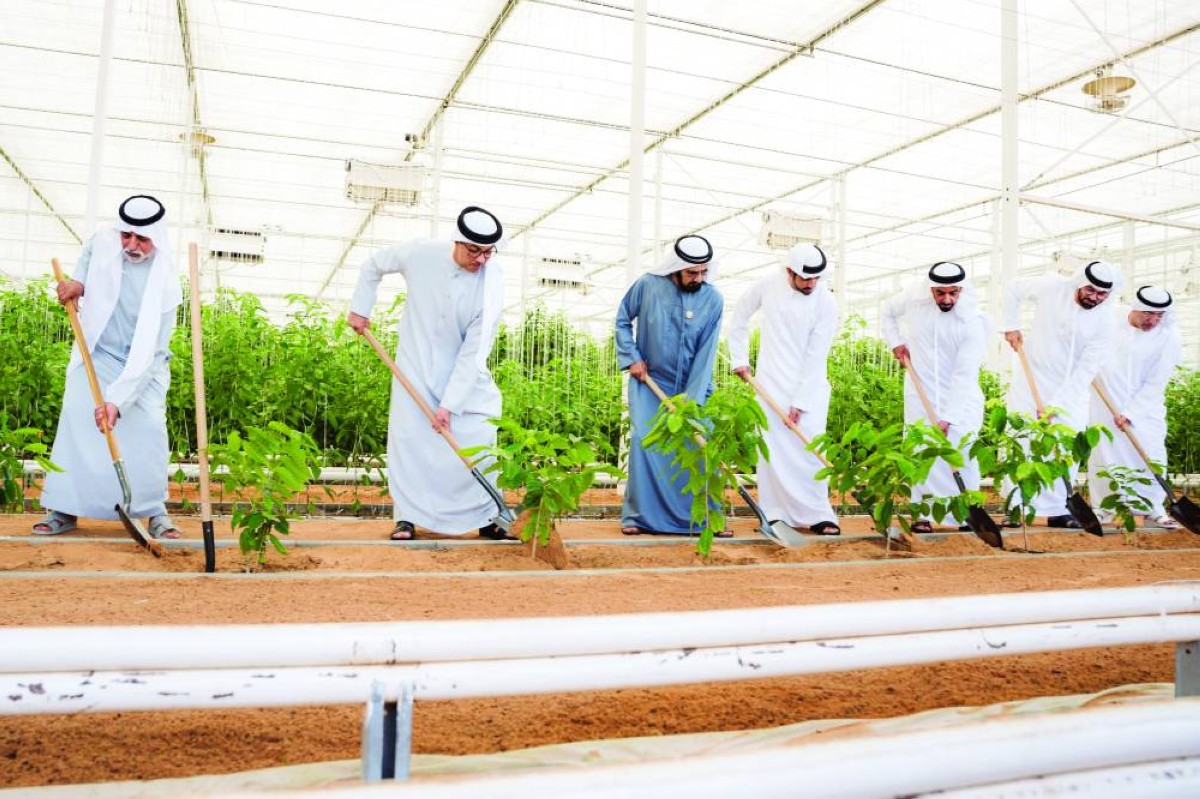 UAE leadership establishes agriculture as pillar of future development and immortal legacy