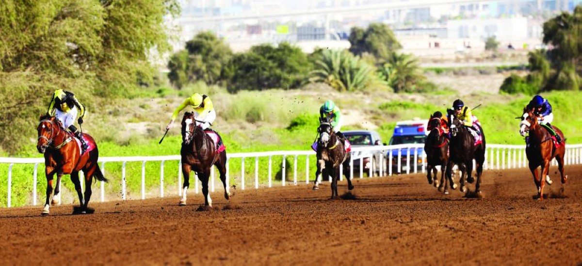 سباق «عيد الاتحاد» في مضمار جبل علي اليوم