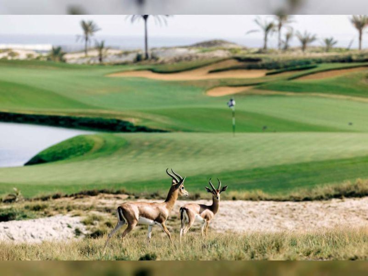 السياحة الخضراء في الإمارات.. جمال الطبيعة تحت مظلة الاستدامة