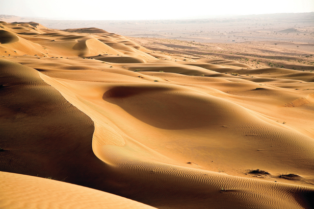 أسعار قياسية للرمل في جزيرة فرسان السعودية البيان