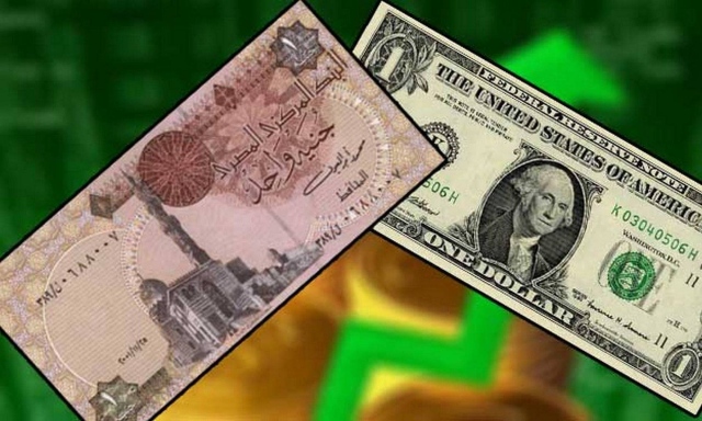 الدولار يواصل تراجعه أمام الجنيه المصري - البيان