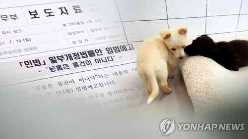 الرئيس الكوري يدعو لحظر تناول لحوم الكلاب في بلاده Image