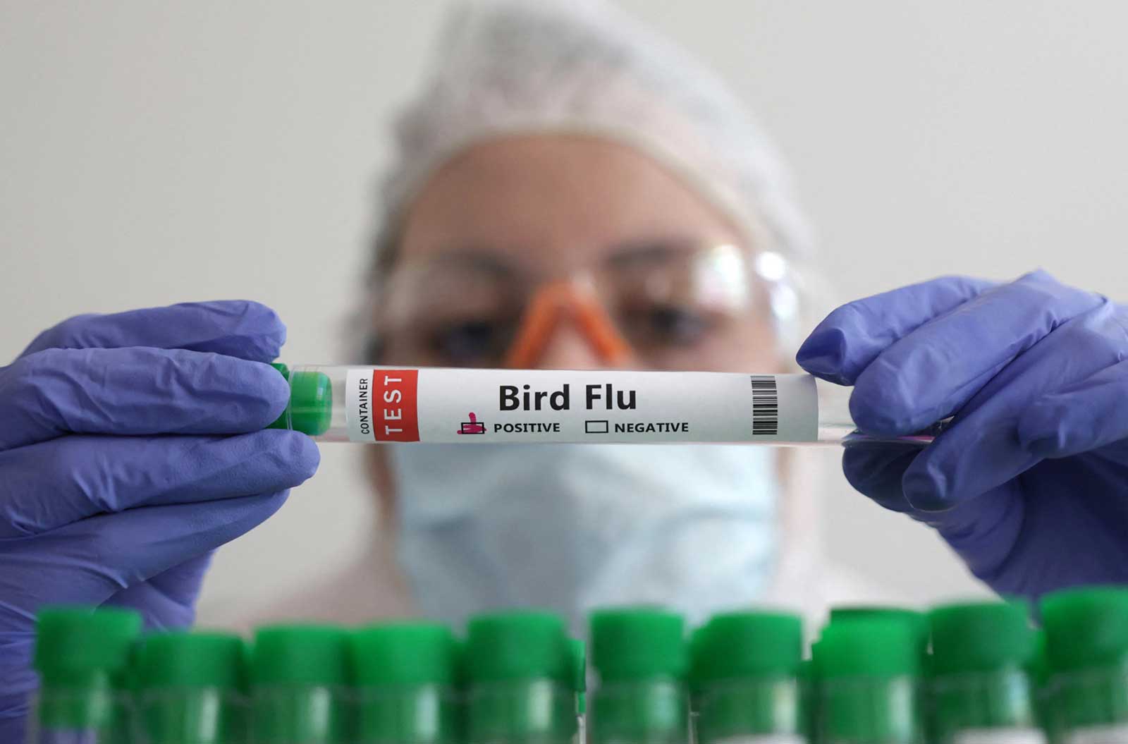اكتشاف إصابتين بإنفلونزا الطيور في الأرجنتين