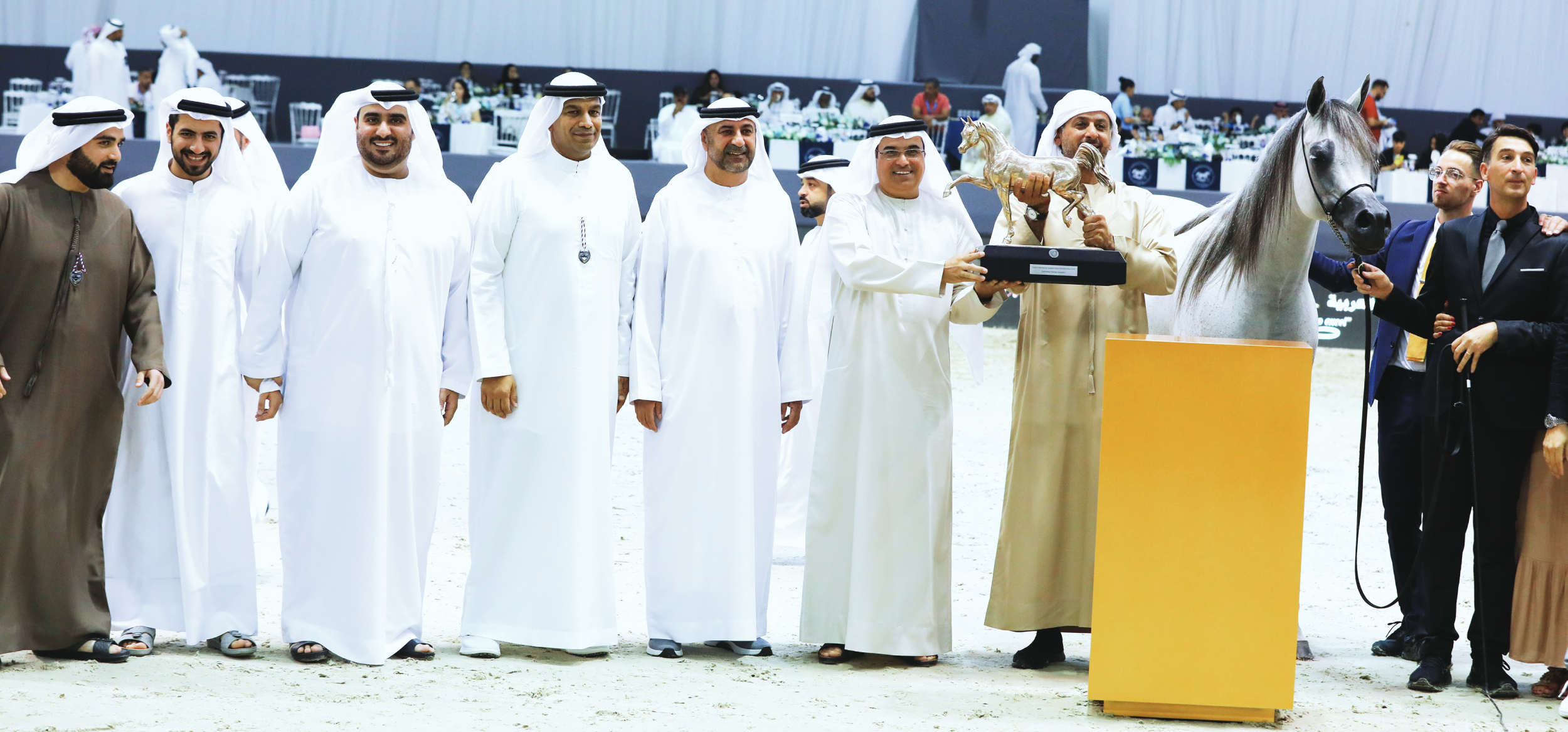 إنجاز قياسي لـ «مربط دبي» في دولية «دبي للجواد العربي»