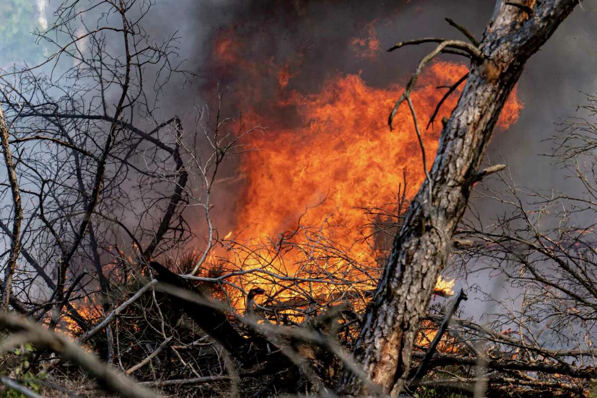 انفجارات في ساحات تدريب سابقة للجيش الألماني بسبب حرائق الغابات