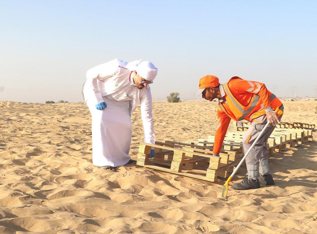 4,791 متطوعاً للحفاظ على نظافة واستدامة البيئة في دبي