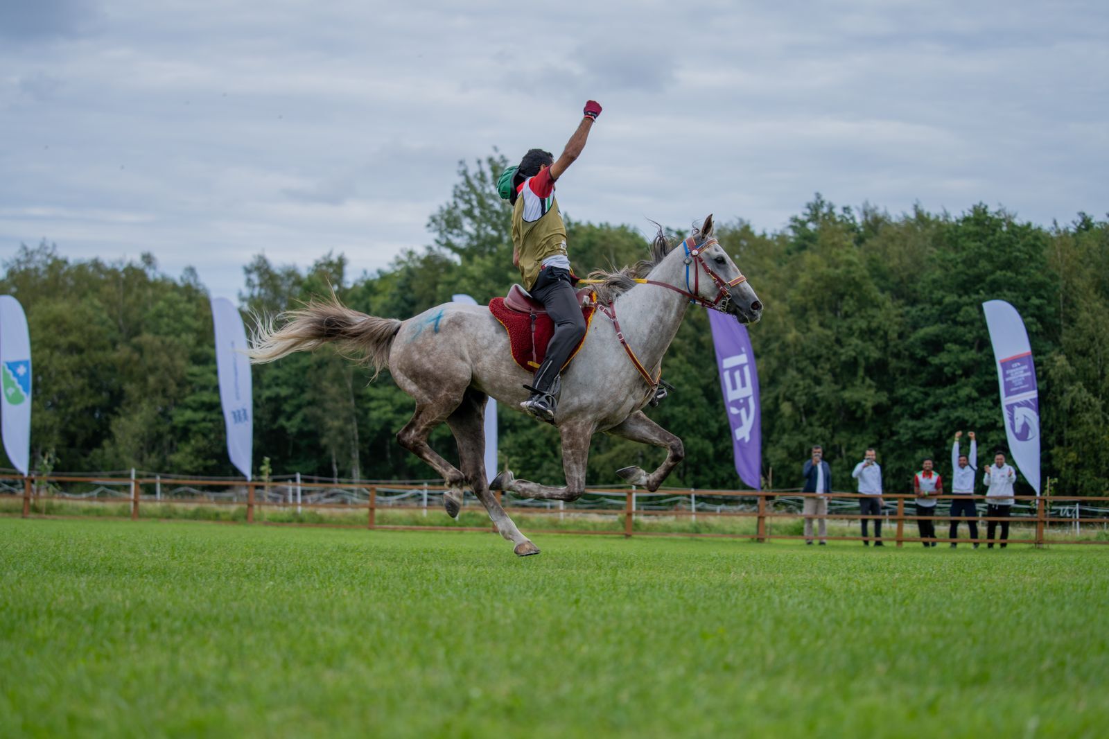 بطي النعيمي يفوز بفضية بطولة العالم للخيول الصغيرة في إستونيا