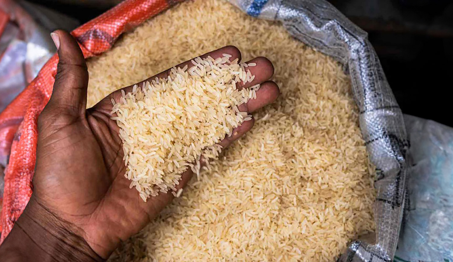 الهند تشدد القيود على صادرات الأرز