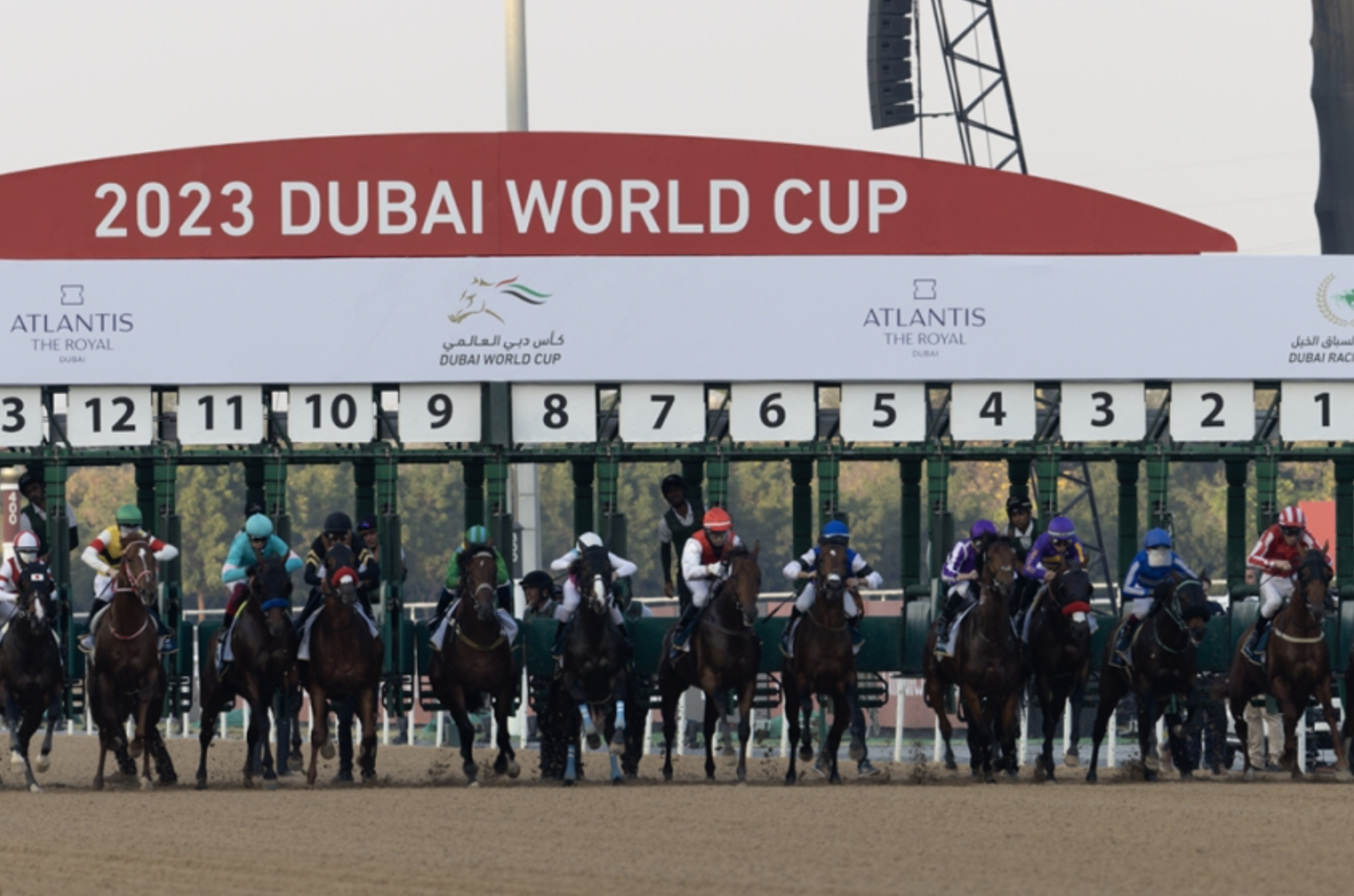 4 ملايين دولار.. «دبي لسباق الخيل» يطلق مكافآت تشجيعية