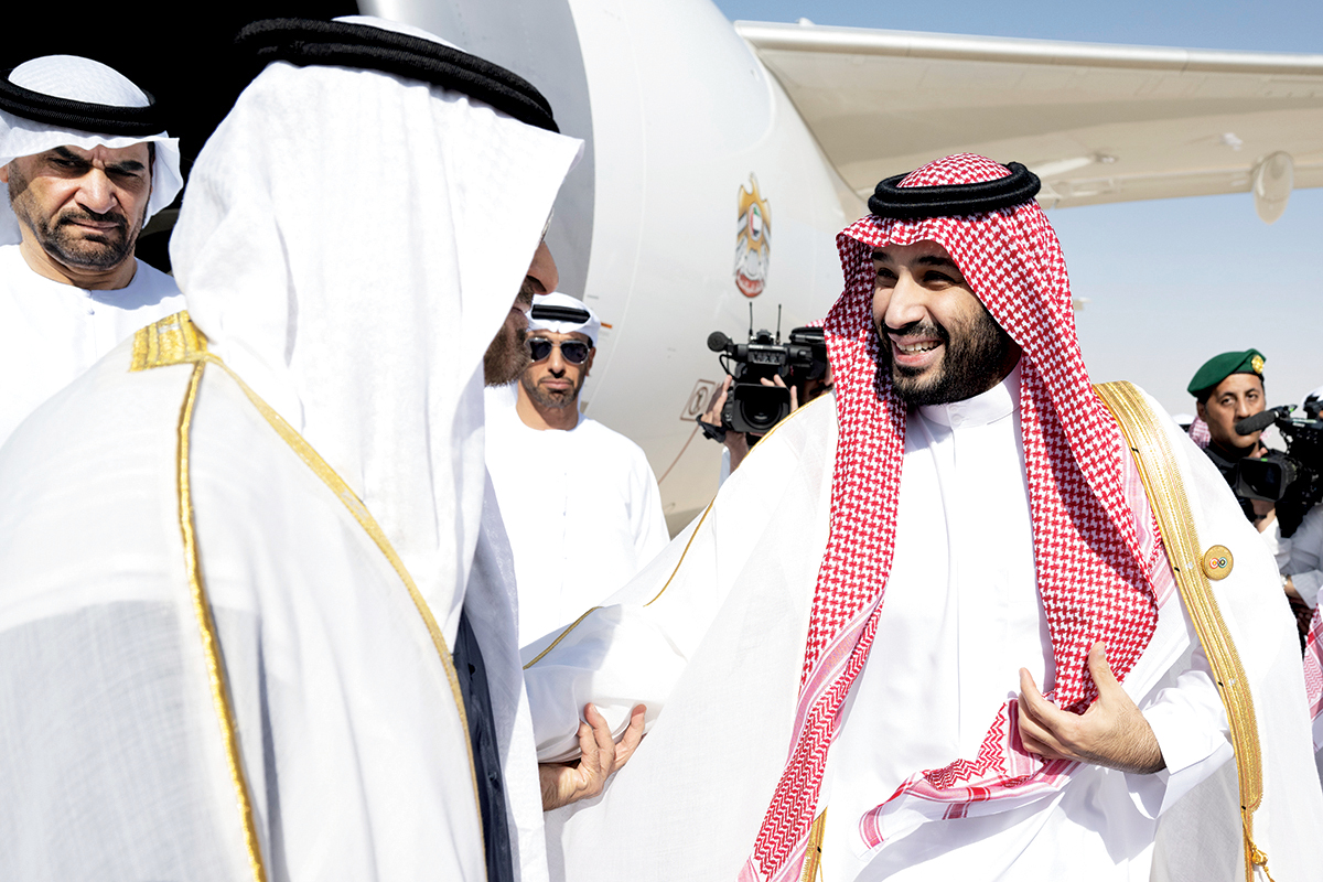 الصورة : استقبال أخوي بين رئيس الدولة وولي العهد السعودي