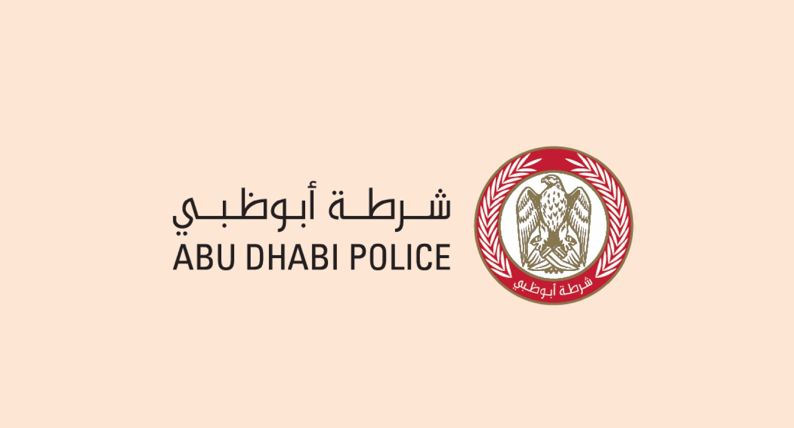 فيديو .. شرطة أبوظبي تحذر من أساليب الاحتيال الإلكتروني