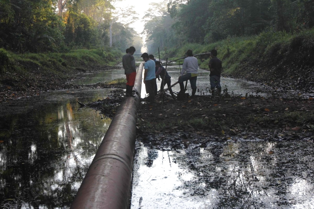ماذا يكشف تتبع أموال تطوير حقول النفط في غابات الأمازون؟