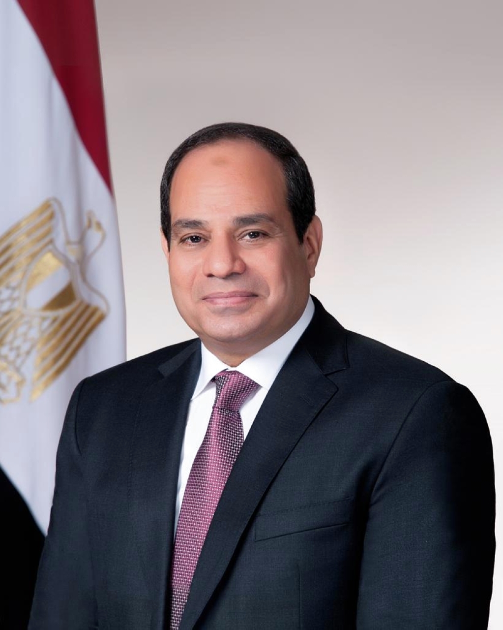 الصورة : 2014 تنصيب المشير عبد الفتاح السيسي رئيساً لمصر، خلفاً للرئيس المؤقت عدلي منصور.