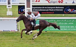 الصورة: الصورة: 10 خيول تتنافس على كأس الوثبة بفرنسا