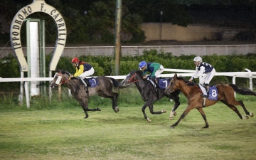 الصورة: الصورة: كأس الوثبة للخيول العربية.. تتويج الفائزين في 3 سباقات ببريطانيا وبولندا وإيطاليا