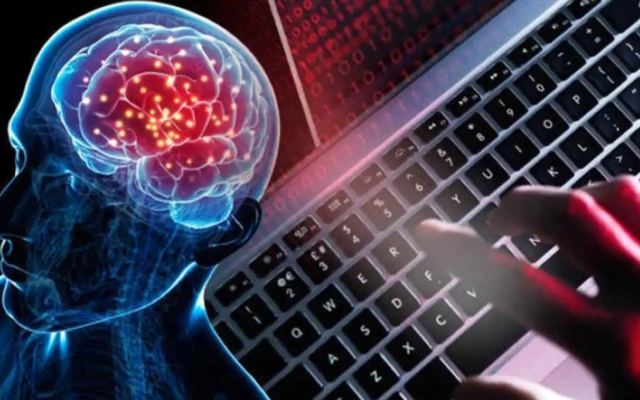 الصورة: الصورة: كمبيوتر مصنوع من أنسجة المخ البشري