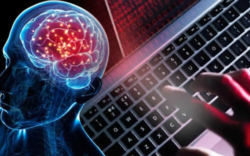 الصورة: الصورة: كمبيوتر مصنوع من أنسجة المخ البشري