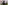 الصورة: الصورة: «أوغست رودان» يواجه «انسبايرال» في «برينس أوف ويلز ستيكس»