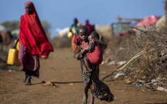 الصورة: الصورة: هل تفلح الجهود الإقليمية والدولية في إنهاء كابوس حرب السودان؟