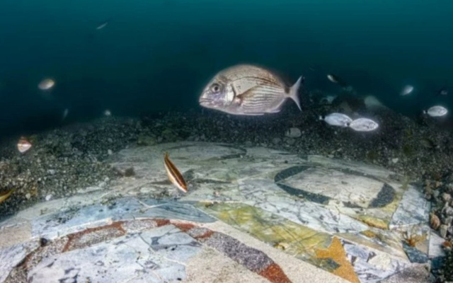 الصورة: الصورة: أرضية فسيفسائية نادرة في قاع البحر