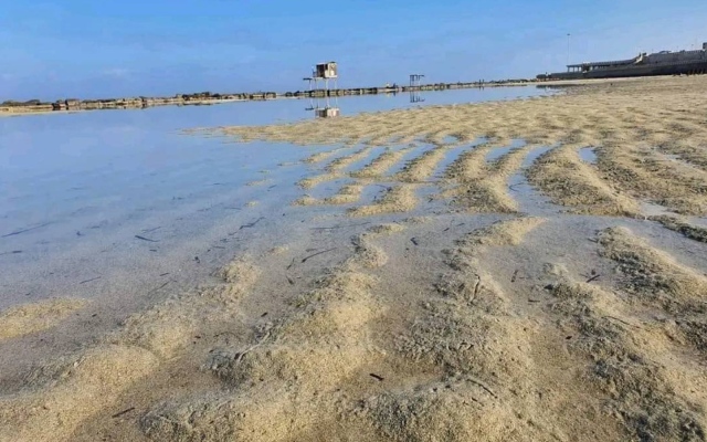 الصورة: الصورة: ليس «تسونامي».. لماذا انحسرت مياه البحر عن شواطئ في مصر؟
