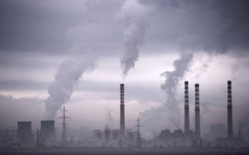 الصورة: الصورة: الأمم المتحدة تنتقد اعتماد الشركات على أرصدة الكربون