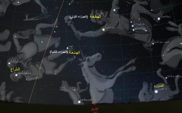 الصورة: الصورة: "الإمارات للفلك": 29 يوليو بدء طلوع "المرزم" آخر نجوم جمرة القيظ