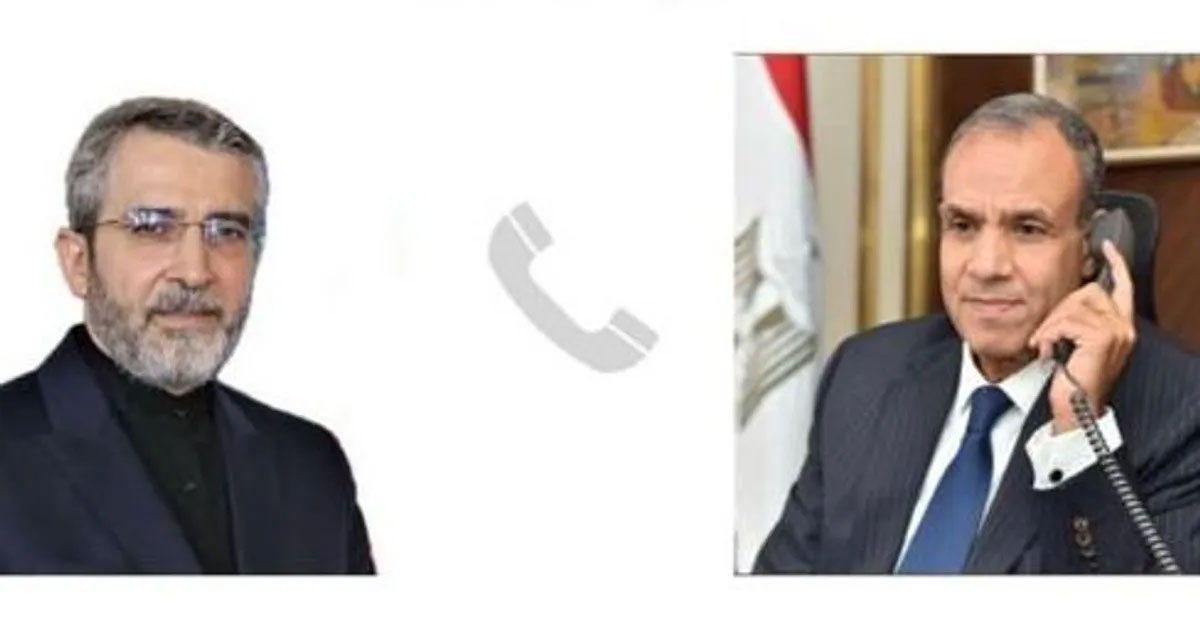 وزيرا الخارجية المصري والإيراني يبحثان احتواء التصعيد الإقليمي